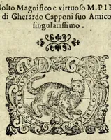 An illustration from L'amante furioso : comedia (1597)