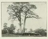 An illustration from La marine au Dahomey : campagne de "La Naiade" (1890-1892) (1901)