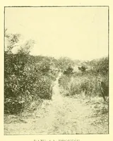 Picture 16 of 17 from La marine au Dahomey : campagne de "La Naiade" (1890-1892) (1901), leaf 311