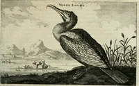 Picture 80 of 158 from L'ambassade de la Compagnie orientale des Provinces Unies vers l'empereur de la Chine, ou grand cam de Tartarie, faite par les Srs. Pierre de Goyer, & Jacob de Keyser (1665), leaf 246