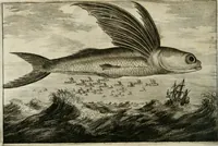 An illustration from L'ambassade de la Compagnie orientale des Provinces Unies vers l'empereur de la Chine, ou grand cam de Tartarie, faite par les Srs. Pierre de Goyer, & Jacob de Keyser (1665)
