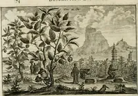 An illustration from L'ambassade de la Compagnie orientale des Provinces Unies vers l'empereur de la Chine, ou grand cam de Tartarie, faite par les Srs. Pierre de Goyer, & Jacob de Keyser (1665)