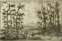 An illustration from L'ambassade de la Compagnie orientale des Provinces Unies vers l'empereur de la Chine, ou grand cam de Tartarie, faite par les Srs. Pierre de Goyer, & Jacob de Keyser (1665)