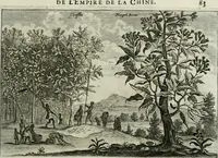 Picture 142 of 158 from L'ambassade de la Compagnie orientale des Provinces Unies vers l'empereur de la Chine, ou grand cam de Tartarie, faite par les Srs. Pierre de Goyer, & Jacob de Keyser (1665), leaf 464