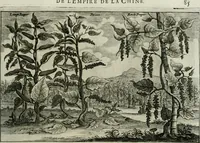 An illustration from L'ambassade de la Compagnie orientale des Provinces Unies vers l'empereur de la Chine, ou grand cam de Tartarie, faite par les Srs. Pierre de Goyer, & Jacob de Keyser (1665)