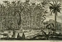 Picture 145 of 158 from L'ambassade de la Compagnie orientale des Provinces Unies vers l'empereur de la Chine, ou grand cam de Tartarie, faite par les Srs. Pierre de Goyer, & Jacob de Keyser (1665), leaf 467