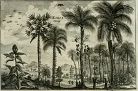 An illustration from L'ambassade de la Compagnie orientale des Provinces Unies vers l'empereur de la Chine, ou grand cam de Tartarie, faite par les Srs. Pierre de Goyer, & Jacob de Keyser (1665)