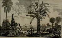 An illustration from L'ambassade de la Compagnie orientale des Provinces Unies vers l'empereur de la Chine, ou grand cam de Tartarie, faite par les Srs. Pierre de Goyer, & Jacob de Keyser (1665)
