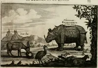 An illustration from L'ambassade de la Compagnie orientale des Provinces Unies vers l'empereur de la Chine, ou grand cam de Tartarie, faite par les Srs. Pierre de Goyer, & Jacob de Keyser (1665)