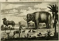 Picture 150 of 158 from L'ambassade de la Compagnie orientale des Provinces Unies vers l'empereur de la Chine, ou grand cam de Tartarie, faite par les Srs. Pierre de Goyer, & Jacob de Keyser (1665), leaf 477