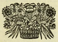 An illustration from L'Amerique, en plusieurs cartes nouvelles, et exactes, &c [cartographic material] : en divers traitez de geographie, et d'histoire : la ou sont descrits succinctement, & avec une belle methode, & facile : ses empires, ses monarchies, ses estats, &c. : les moeurs, les langues, les religions, le negoce et la richesse de ses peuples, &c. : et ce qu'il y a de plus beau & de plus rare dans toutes ses parties, & dans ses isles (1667)