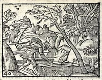 Picture 10 of 36 from La Metamorphose d'Ouide : contenant l'Olympe des histoires poëtiques : traduits de latin en françois (1608), leaf 126
