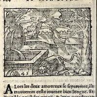 Picture 11 of 36 from La Metamorphose d'Ouide : contenant l'Olympe des histoires poëtiques : traduits de latin en françois (1608), leaf 150
