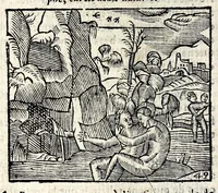 An illustration from La Metamorphose d'Ouide : contenant l'Olympe des histoires poëtiques : traduits de latin en françois (1608)