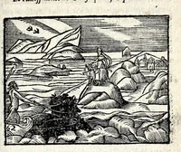 Picture 14 of 36 from La Metamorphose d'Ouide : contenant l'Olympe des histoires poëtiques : traduits de latin en françois (1608), leaf 195