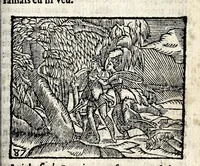 An illustration from La Metamorphose d'Ouide : contenant l'Olympe des histoires poëtiques : traduits de latin en françois (1608)