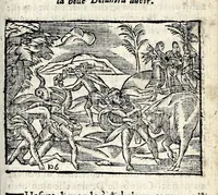 Picture 23 of 36 from La Metamorphose d'Ouide : contenant l'Olympe des histoires poëtiques : traduits de latin en françois (1608), leaf 371