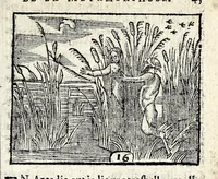 Picture 5 of 36 from La Metamorphose d'Ouide : contenant l'Olympe des histoires poëtiques : traduits de latin en françois (1608), leaf 51