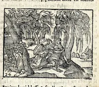 Picture 7 of 36 from La Metamorphose d'Ouide : contenant l'Olympe des histoires poëtiques : traduits de latin en françois (1608), leaf 73