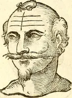 An illustration from La metoposcopia, ouero, Commensuratione delle linee della fronte (1629)