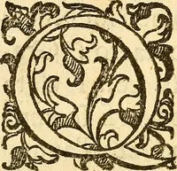 Picture 2 of 45 from La metoposcopia, ouero, Commensuratione delle linee della fronte (1629), leaf 6
