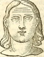 An illustration from La metoposcopia, ouero, Commensuratione delle linee della fronte (1629)