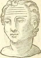 Picture 24 of 45 from La metoposcopia, ouero, Commensuratione delle linee della fronte (1629), leaf 81
