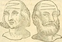 Picture 25 of 45 from La metoposcopia, ouero, Commensuratione delle linee della fronte (1629), leaf 82