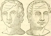 Picture 28 of 45 from La metoposcopia, ouero, Commensuratione delle linee della fronte (1629), leaf 85