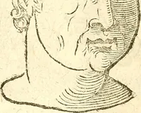 Picture 31 of 45 from La metoposcopia, ouero, Commensuratione delle linee della fronte (1629), leaf 87