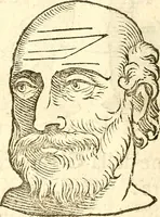 An illustration from La metoposcopia, ouero, Commensuratione delle linee della fronte (1629)