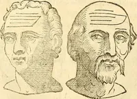 An illustration from La metoposcopia, ouero, Commensuratione delle linee della fronte (1629)
