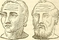 Picture 36 of 45 from La metoposcopia, ouero, Commensuratione delle linee della fronte (1629), leaf 93