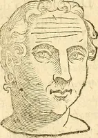 Picture 41 of 45 from La metoposcopia, ouero, Commensuratione delle linee della fronte (1629), leaf 96