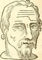 An illustration from La metoposcopia, ouero, Commensuratione delle linee della fronte (1629)