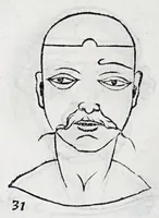 An illustration from La metoposcopie de H. Cardan, medecin milanois : comprise en treize liures, et huit cens figures de la face humaine : a laquelle a esté adjousté, Le traicté des marques naturelles du corps, par Melampus, antien autheur grec : le tout traduit en françois par le sieur C. M. de Laurendiere, docteur en medecine (1658)