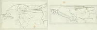 Picture 36 of 69 from La Metropolitana fiorentina illustrata (1820), leaf 126
