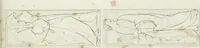 Picture 39 of 69 from La Metropolitana fiorentina illustrata (1820), leaf 126