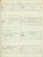 Picture 42 of 69 from La Metropolitana fiorentina illustrata (1820), leaf 132