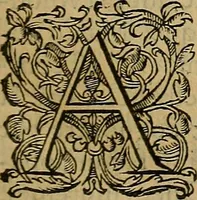 An illustration from La monarchie aristodemocratique : ou Le gouvernement composé et meslé des trois formes de legitimes republiques (1611)