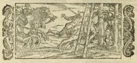 Picture 3 of 15 from L'amore di Trolio et Griseida, ove, Si tratta in bvona parte la Gverra de Troia (1553), leaf 42