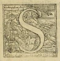 Picture 6 of 15 from L'amore di Trolio et Griseida, ove, Si tratta in bvona parte la Gverra de Troia (1553), leaf 53