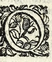An illustration from L'amoroso sdegno : favola pastorale (1598)