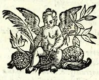 An illustration from L'amoroso sdegno : favola pastorale (1598)