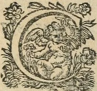 An illustration from La métamorphose du vertueux : livre plein de moralité (1611)