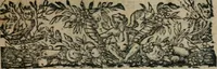 An illustration from La métamorphose du vertueux : livre plein de moralité (1611)