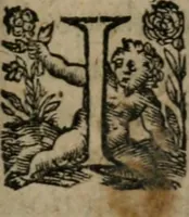An illustration from La métamorphose du vertueux : livre plein de moralité (1611)