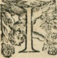 An illustration from La métamorphose du vertueux : livre plein de moralité (1611)
