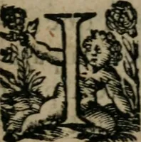 An illustration from La métamorphose du vertueux : livre plein de moralité (1611)