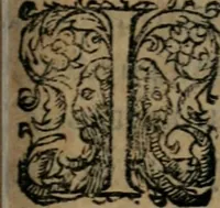 An illustration from La métamorphose du vertueux : livre plein de moralité (1611)